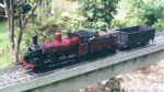 NSWGR 19 class in custom livery