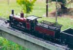 NSWGR 19 class in custom livery