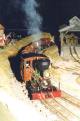 John Pearce's Philadelphia on the Rails in the Garden portable layout